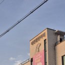 지상낙원 | [고양] 강아지들의 지상낙원 피터펫츠 내유점 내돈내산 주말방문 후기