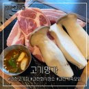 과천 고기집 맛집 고기명가 안양동편마을 다녀온 후기
