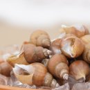 더좋은탕 이미지