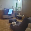 옥천산방라온 이미지