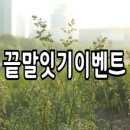 비누미인