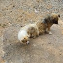 두식이펜션 이미지