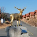 하늘을 품은 사슴 이미지