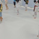 용인대 금메달 태권도장 이미지