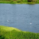 연경대광로제비앙아파트 이미지