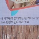알마레레스토랑 이미지