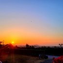 별 헤는 밤 200 이미지