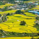 농어촌공사앞 이미지