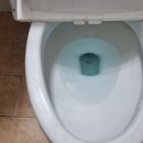 김삿갓면-0 | 영월군 남면 변기역류 김삿갓면 산솔면 변기오물제거 전문해결업체