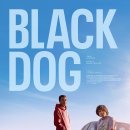 BLACKDOG COMPANY