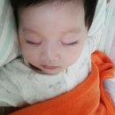 토리153 이미지
