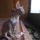 (주)신한은행 - 중구 태평로2가 | (주)신한은행