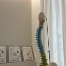 바른체형만들기센터 | 대전 재활pt 리커버바른몸센터 체형교정 후기