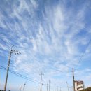 김녕환승정류장 이미지