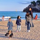 증산~삼척해변 이미지