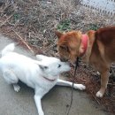 정선가축병원 이미지