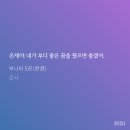 권무영 Daum카페