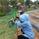 주미 농장 이미지