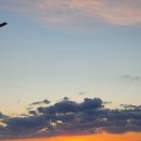 요망진밥상 | 제주도민추천 서귀포 노을스팟(+주소공유