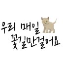 수연헤어 이미지