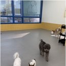 헬로우나니