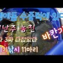 벵에돔 낚시 (Opaleye Fishing)