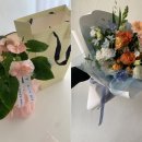아레스&마셀 이미지