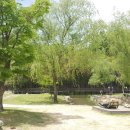 죽녹원마을 이미지