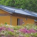 솔나리민박 이미지