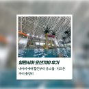 700 | 알펜시아 오션700 후기✨ 네이버 예매 할인부터 유스풀·키즈존까지 총정리
