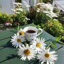 커피 브루잉 이미지