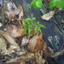 판암동232 이미지