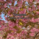 늘푸른전당 공연장 이미지