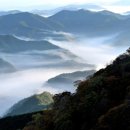 어느날 - 영천시 | 어느날