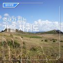 나는제주다(주)