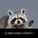 올바른연구소 이미지