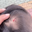 서울백가정의학과의원 이미지