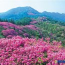 아름다운 나라 이미지