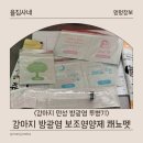 펫그루밍바이순 | 방광염4) 끝날듯 끝나지 않는 강아지 만성 방광염 투병기 쾌뇨펫 혈뇨 효과