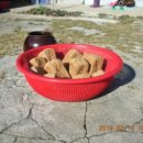 삼안농장 이미지