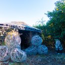 미로월드 이미지