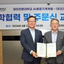 디엔(DN) 이미지