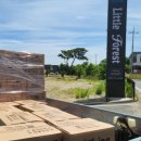 포레스트 경주(Forest 경주) 이미지