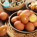 원천오리 이미지