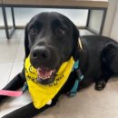 레오동물병원 이미지