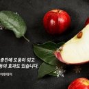주엽과일