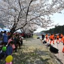 속초1리 마을회관 이미지