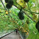 문당환경농업마을 이미지