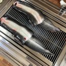 솔토 | 과천 외식 맛집 솔토장어 | 장어 크기부터 다른 찐맛집 후기