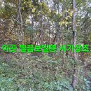 야산 3곳 답사및 서리버섯 산행.156 (시기상조 동행) 이미지